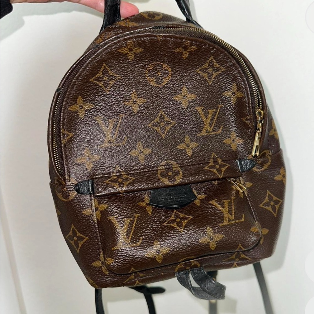 Louis Vuitton Monogram Mini Backpack